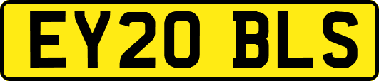 EY20BLS
