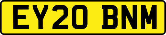 EY20BNM
