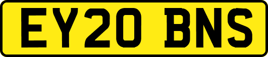 EY20BNS