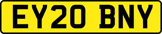 EY20BNY