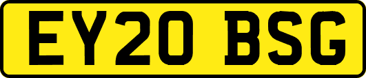 EY20BSG