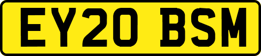 EY20BSM