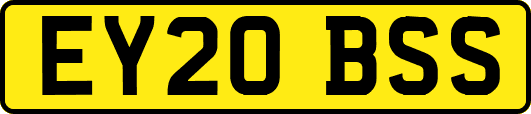 EY20BSS