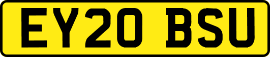 EY20BSU