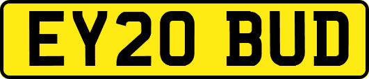 EY20BUD