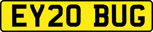 EY20BUG