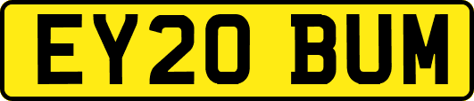 EY20BUM