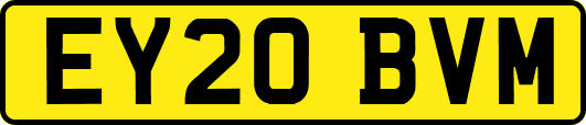 EY20BVM