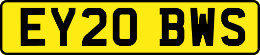 EY20BWS