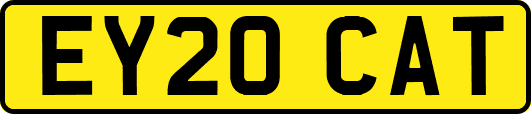 EY20CAT
