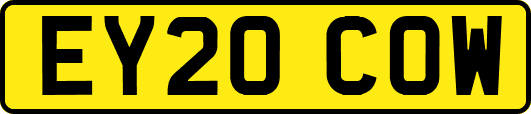 EY20COW