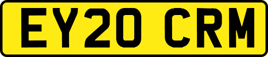 EY20CRM