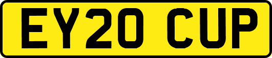 EY20CUP