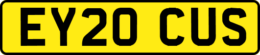 EY20CUS