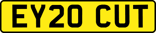 EY20CUT