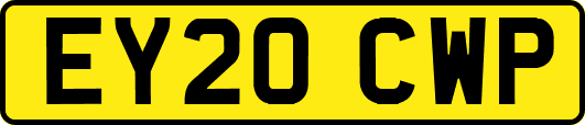 EY20CWP