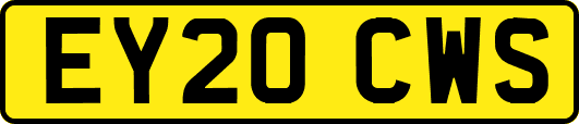 EY20CWS