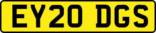 EY20DGS