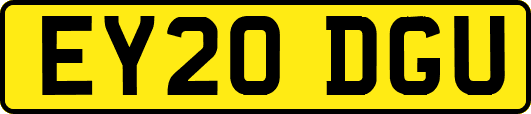 EY20DGU