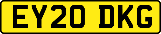 EY20DKG