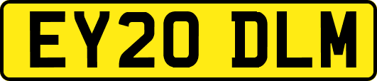 EY20DLM