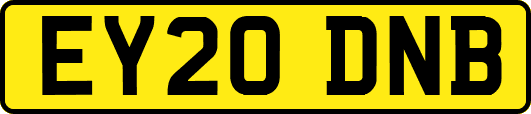 EY20DNB