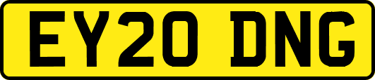 EY20DNG