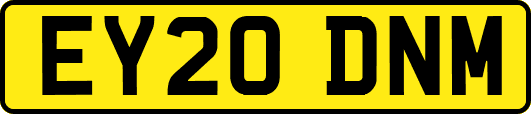 EY20DNM