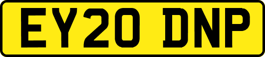 EY20DNP