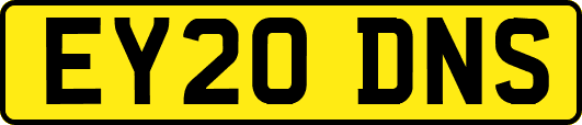 EY20DNS
