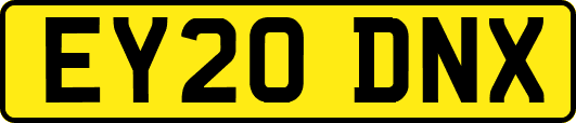 EY20DNX