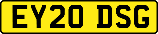 EY20DSG