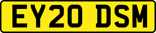 EY20DSM