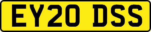 EY20DSS