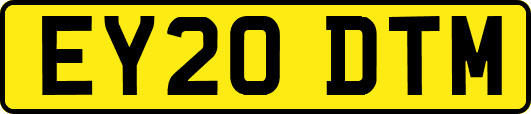 EY20DTM