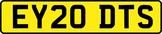 EY20DTS