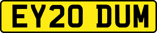 EY20DUM