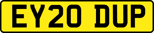 EY20DUP