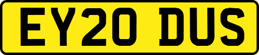 EY20DUS