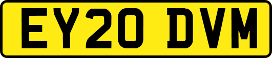 EY20DVM
