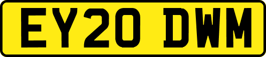 EY20DWM