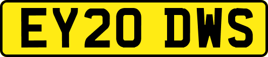EY20DWS