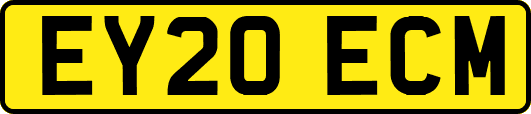 EY20ECM