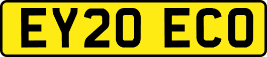 EY20ECO