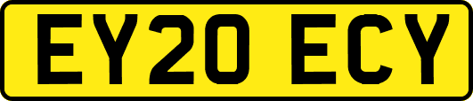 EY20ECY