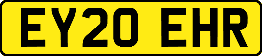 EY20EHR