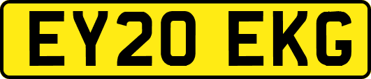 EY20EKG
