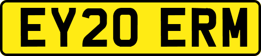EY20ERM