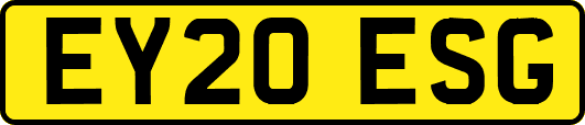 EY20ESG