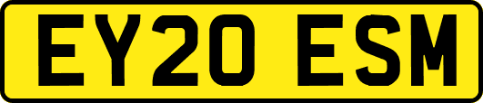 EY20ESM